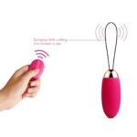 Remote Vibrators